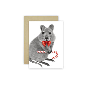 Quokka Christmas Card