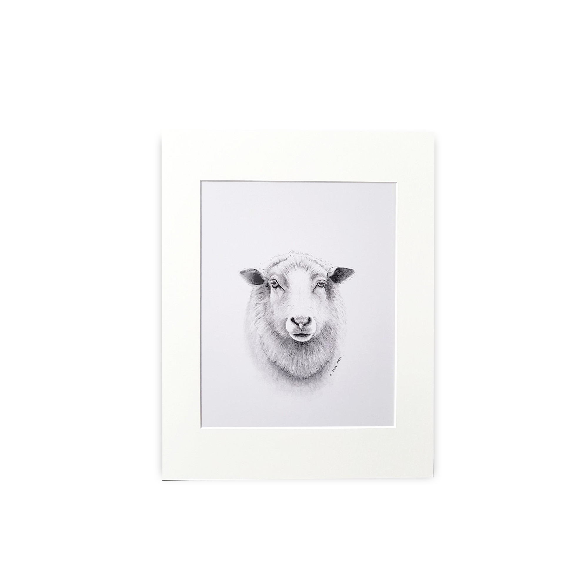 Sheep Print Cathy Hamilton Artworks sheep-print-cathy-hamilton-artworks