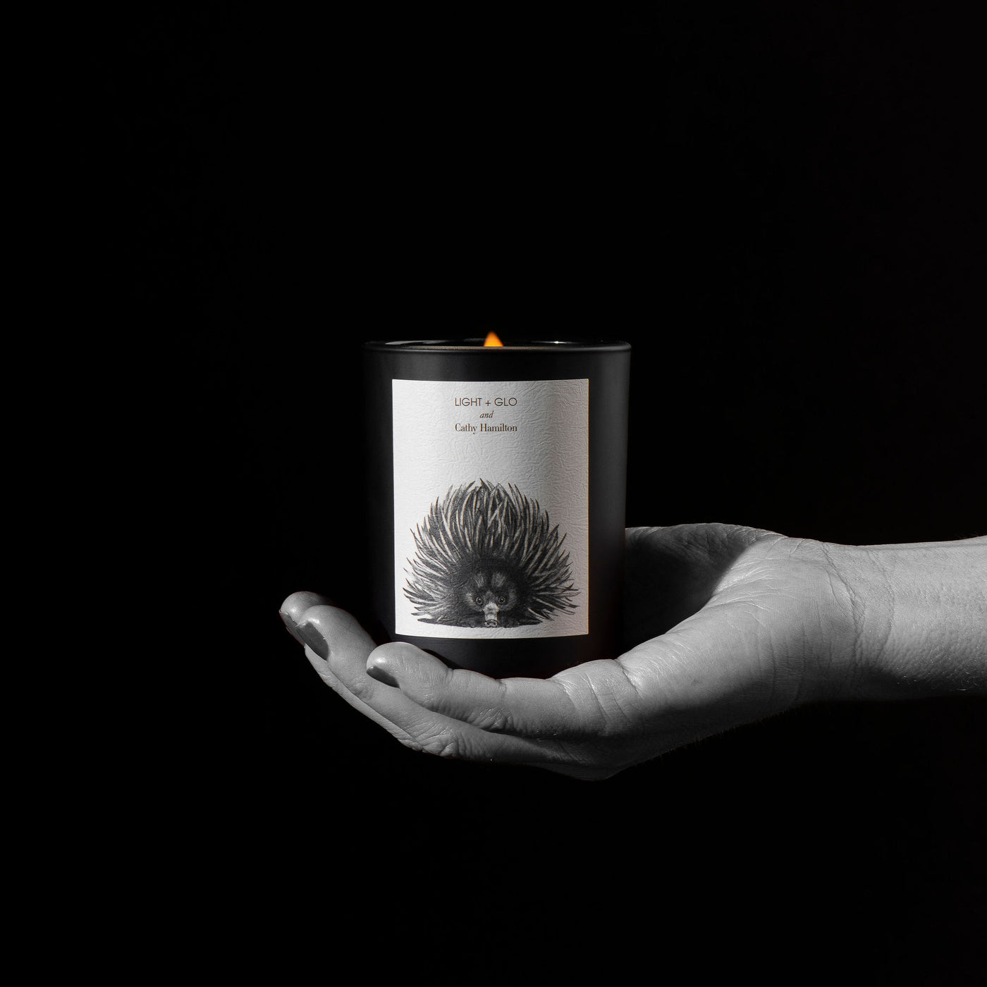 Australiana Candle - Echidna