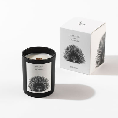 Australiana Candle - Echidna