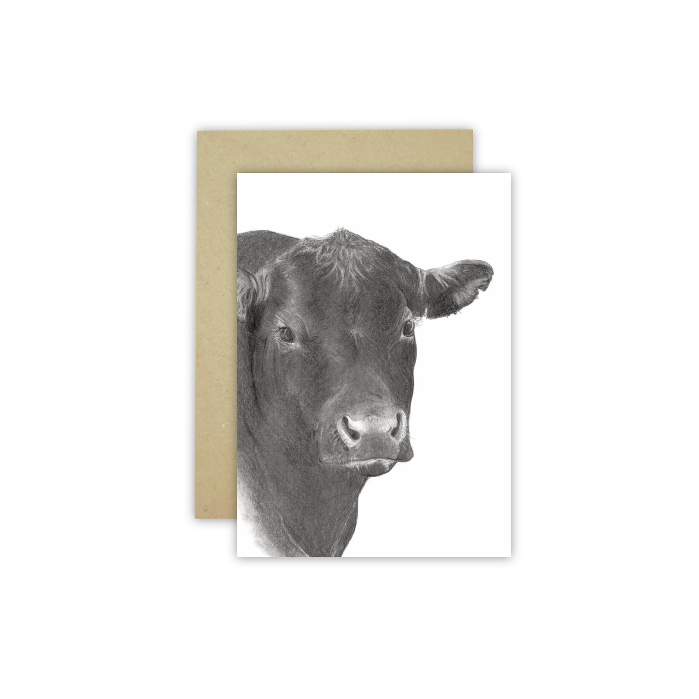 Angus Bull C6 Card - Wholesale - NEW SIZE