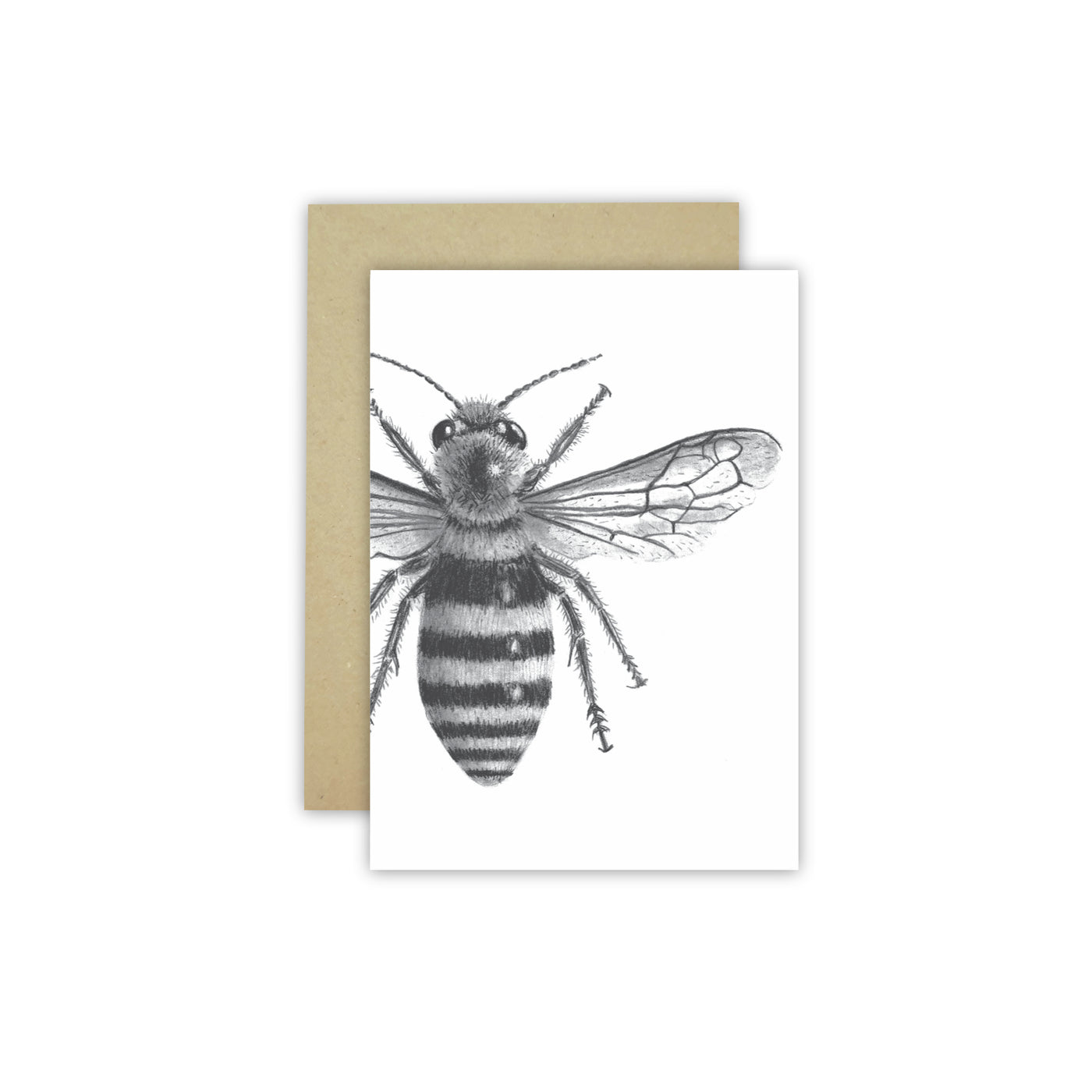 Bee C6 Card - NEW SIZE