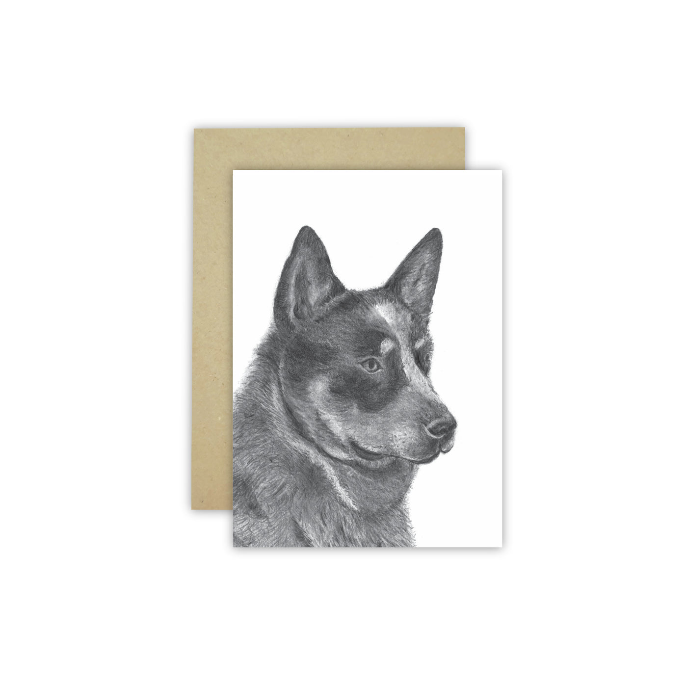 Blue Heeler C6 Card