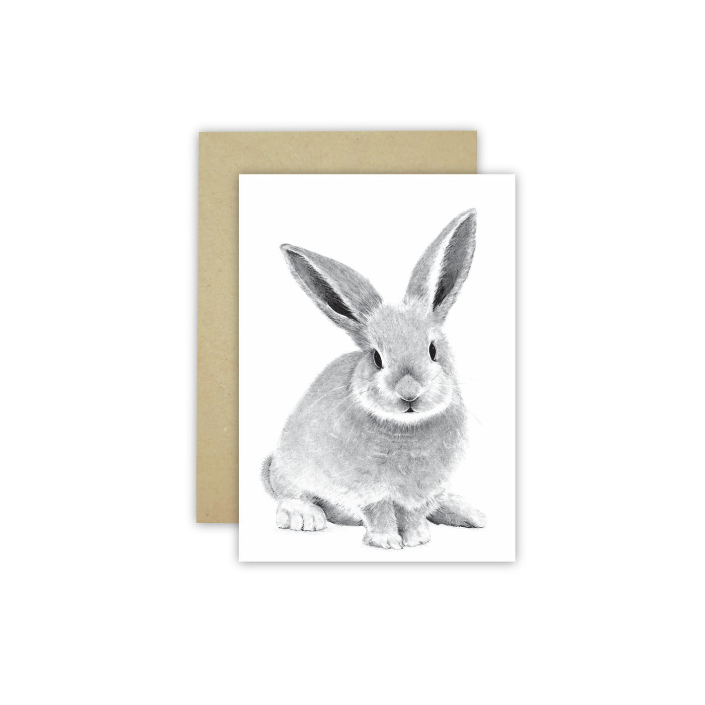 Bunny C6 Card - NEW SIZE