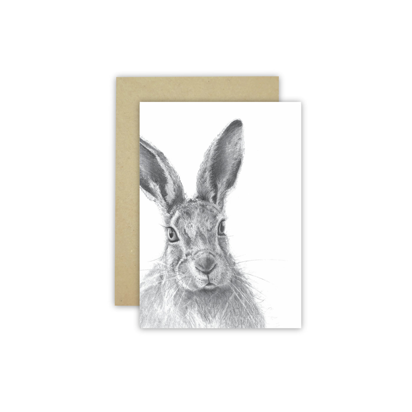 Hare C6 Card - Wholesale - NEW SIZE