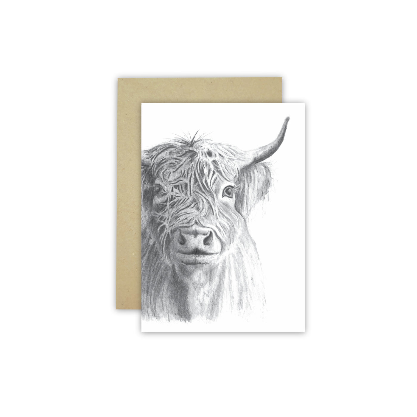 Highland Cow C6 Card - NEW SIZE