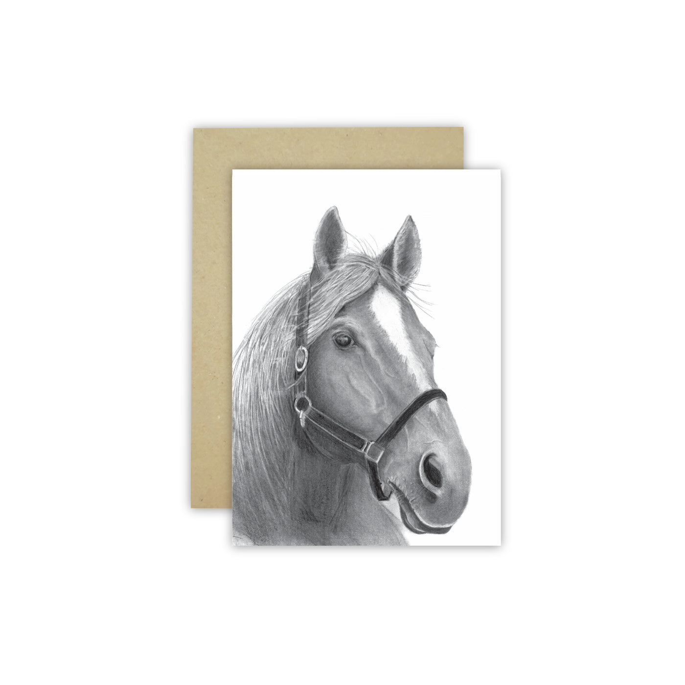 Horse C6 Card - NEW SIZE