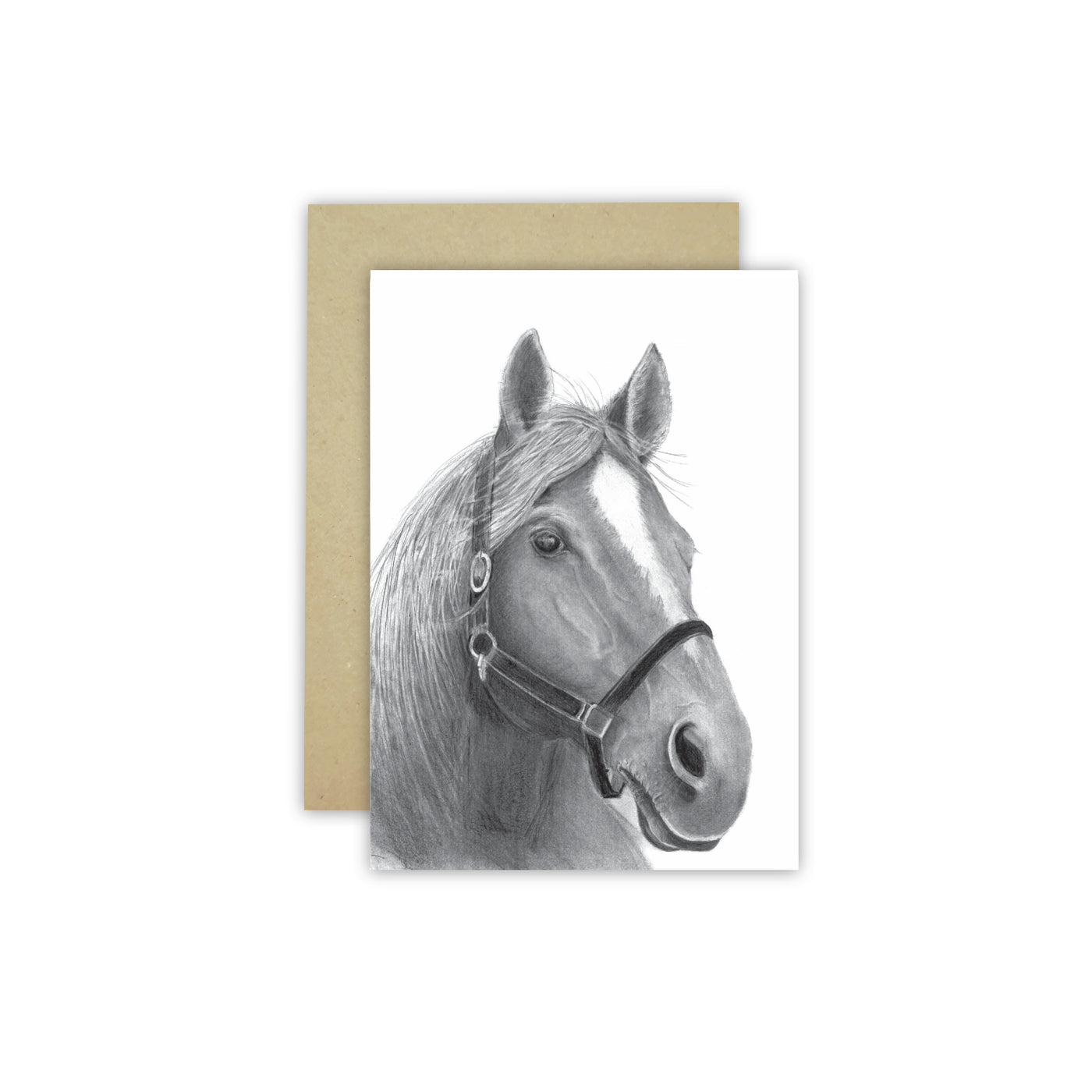 Horse C6 Card - Wholesale - NEW SIZE