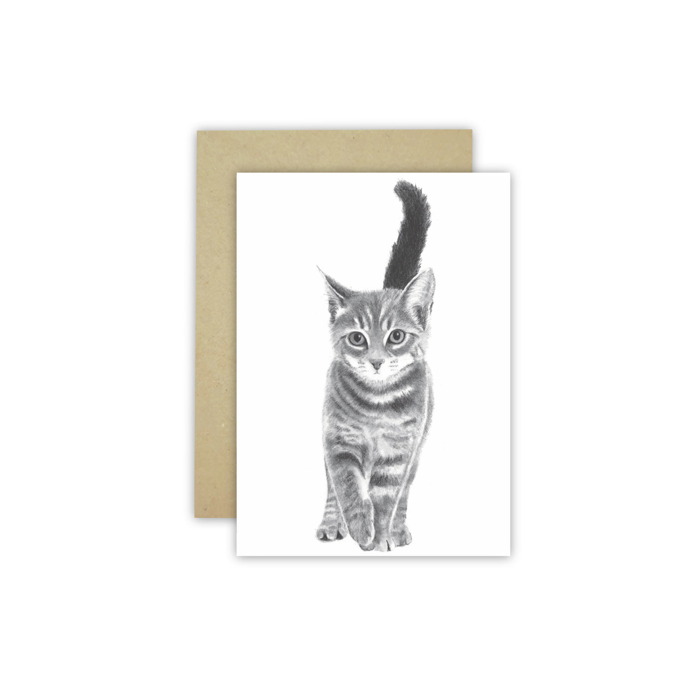 Kitten C6 Card - Wholesale - NEW SIZE