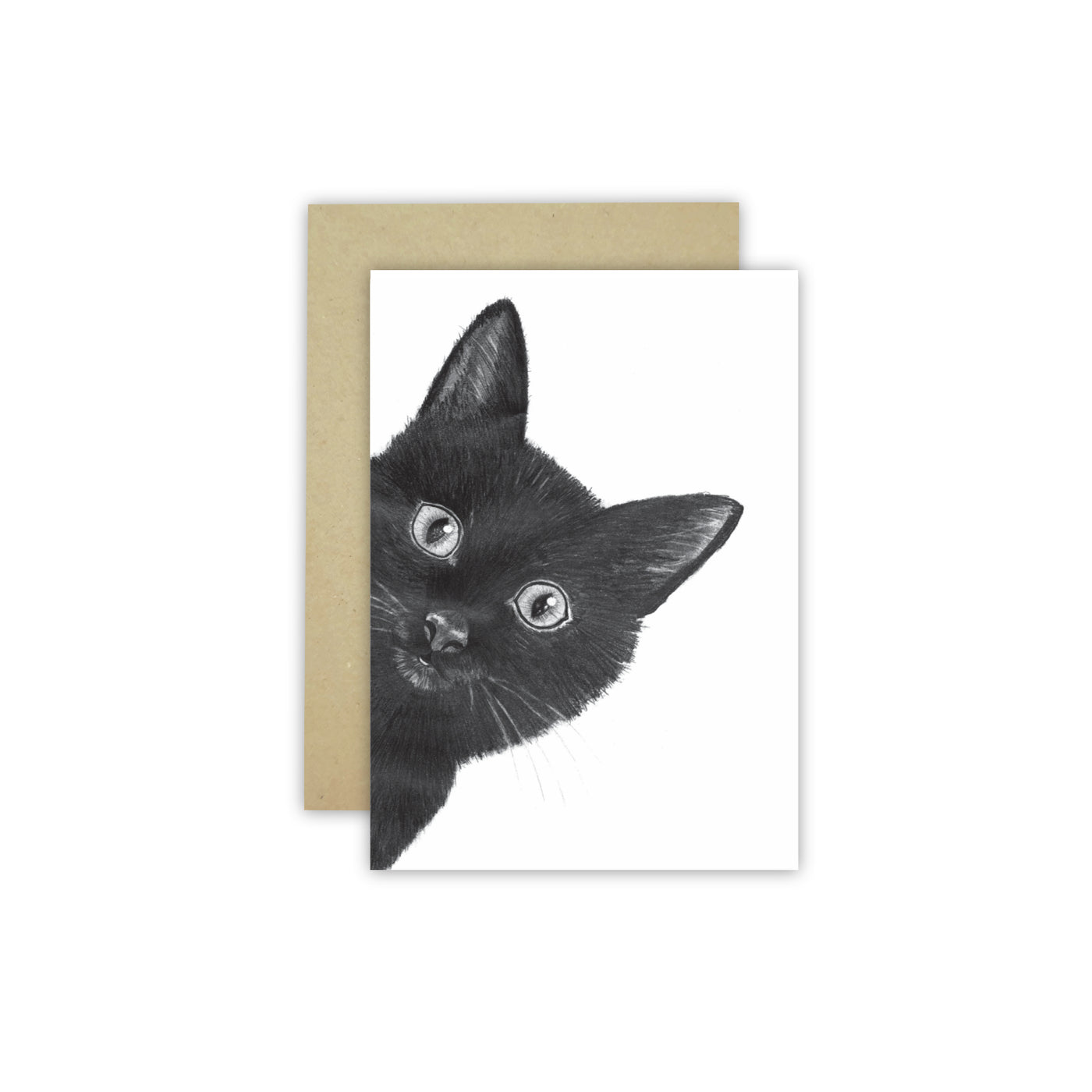 Peeking C6 Cat Card - Wholesale - NEW SIZE