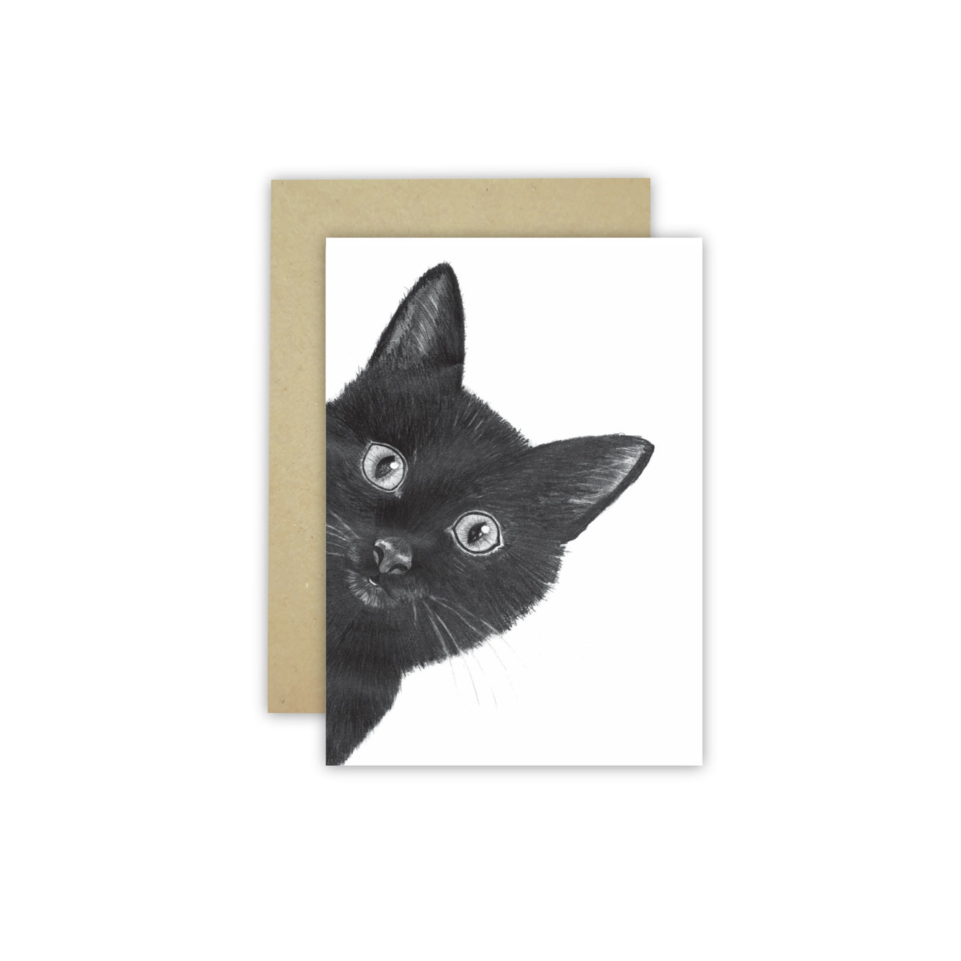 Peeking Cat C6 Card - NEW SIZE