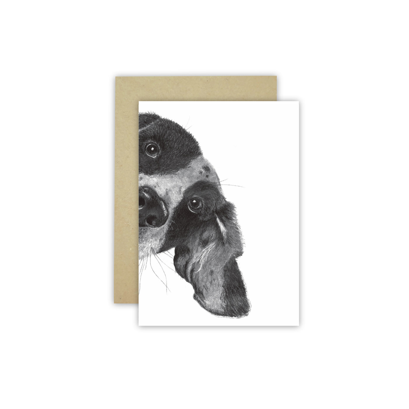 Peeking Dog C6 Card - Wholesale - NEW SIZE