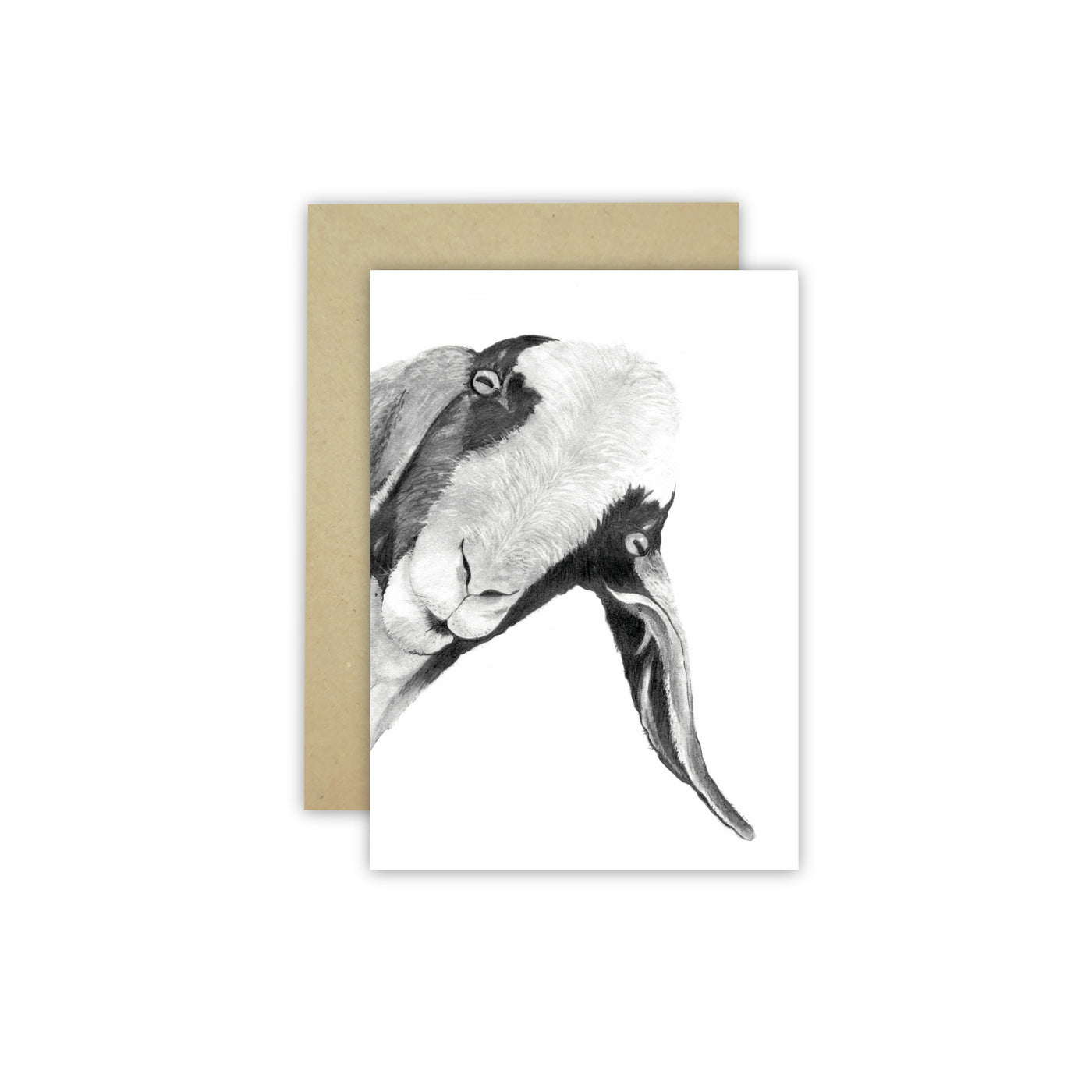 Peeking Goat C6 Card - Wholesale