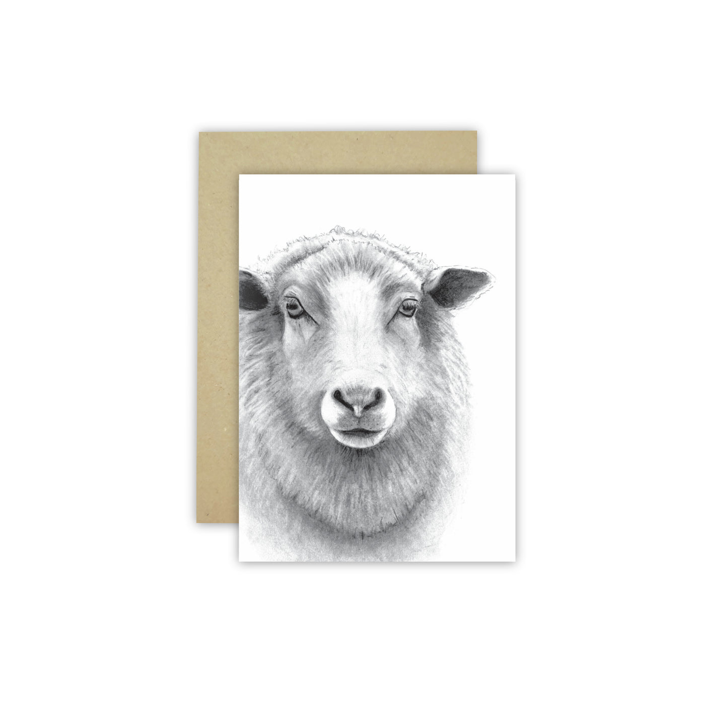 Sheep C6 Card - NEW SIZE