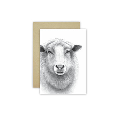 Farm C6 Card Pack - NEW SIZE