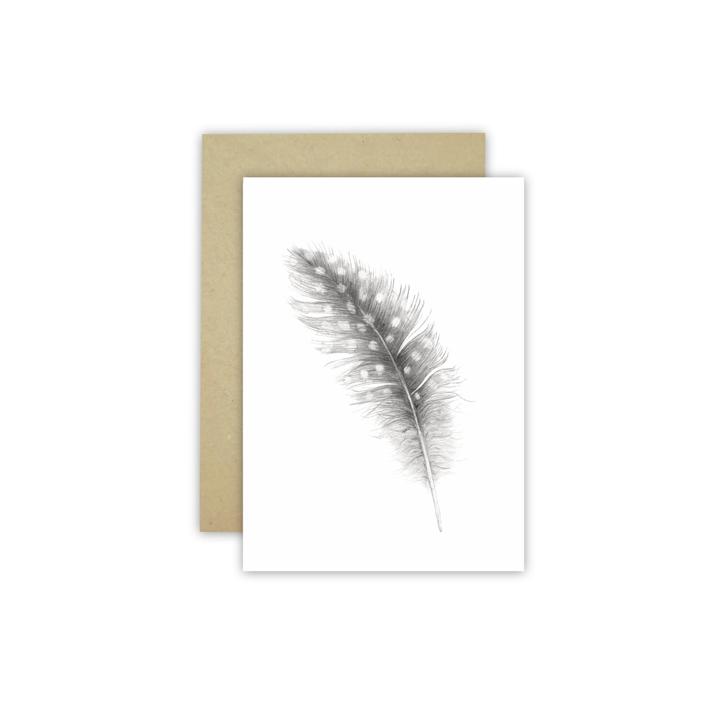 Feather (single) C6 Card - NEW SIZE