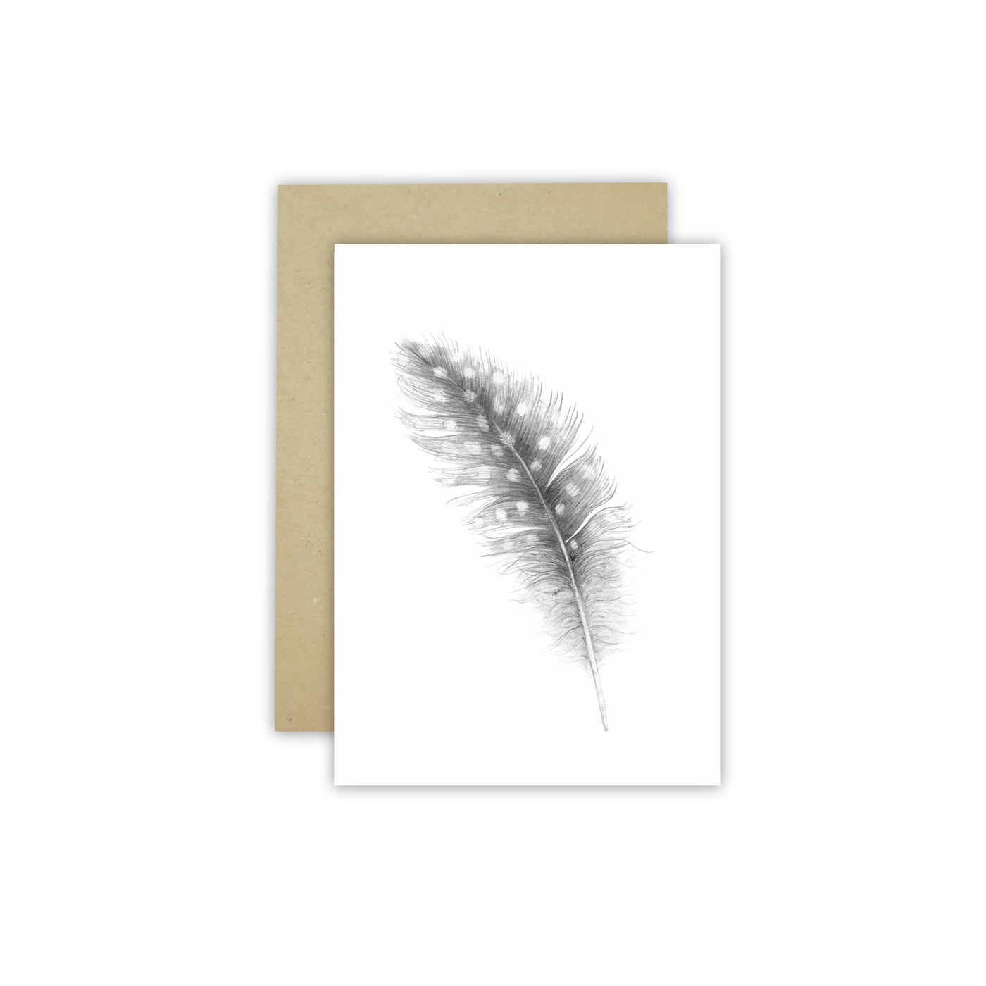 Feather (single) C6 Card - Wholesale