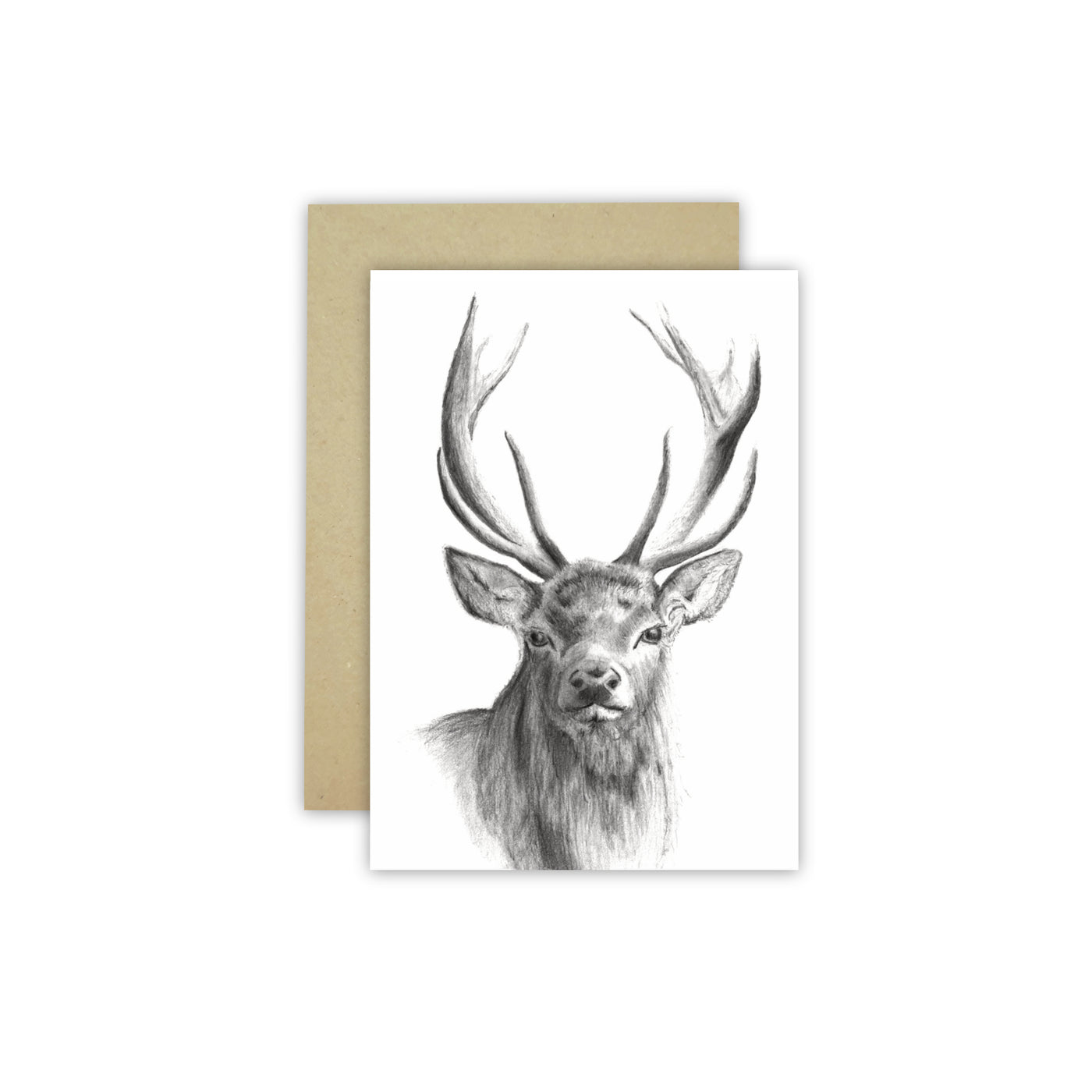 Stag C6 Card - NEW SIZE