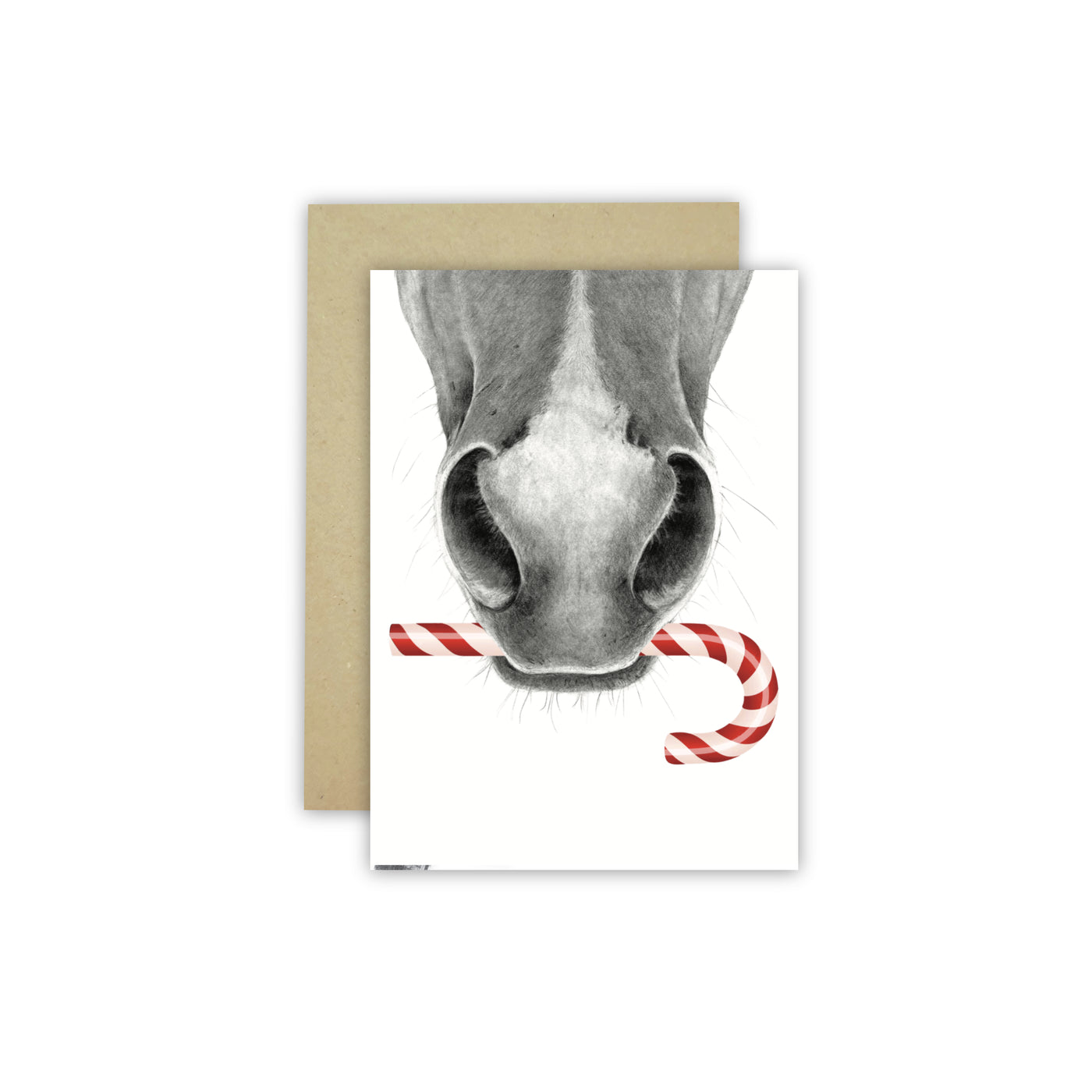 Horse Muzzle Christmas Card