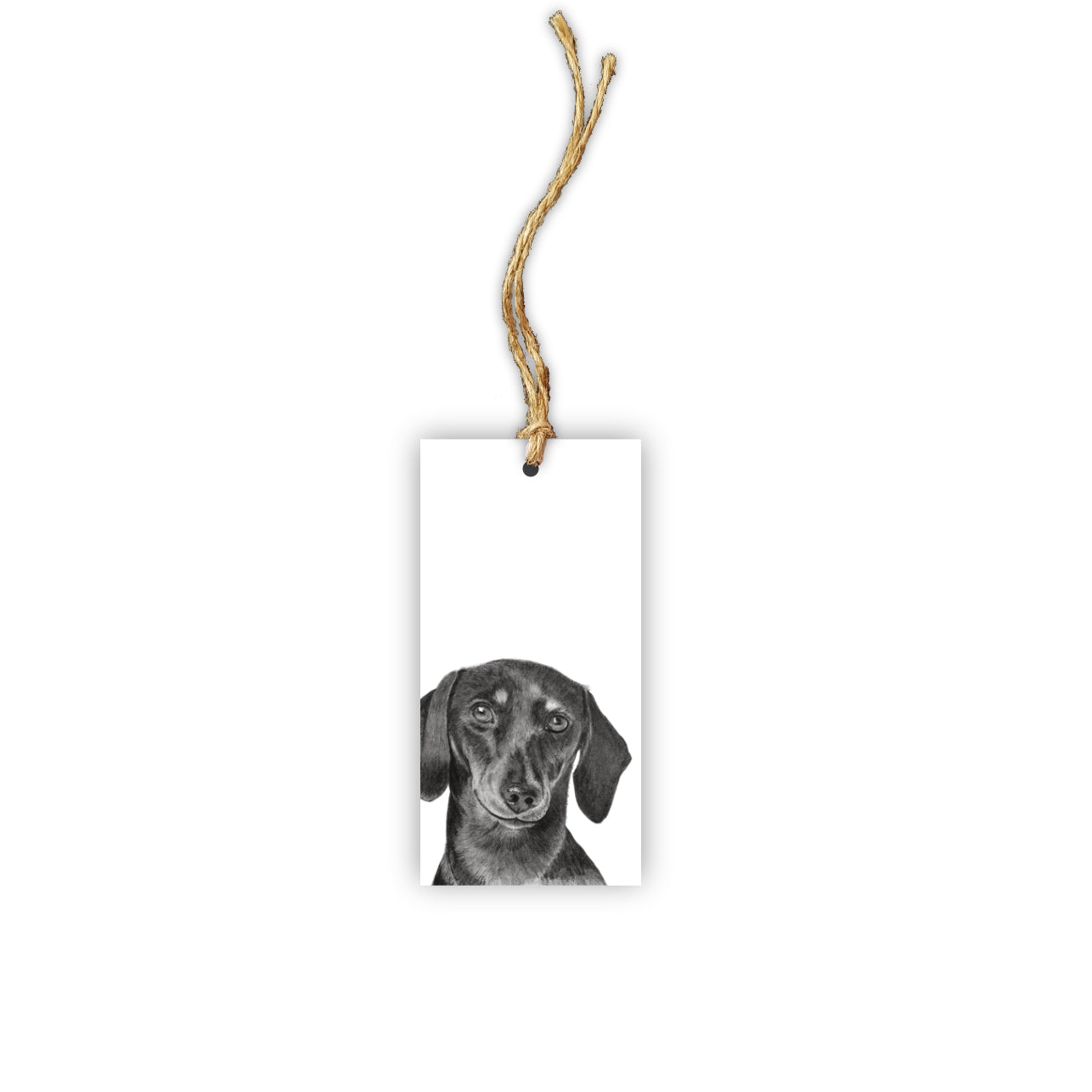 Dachshund Tag
