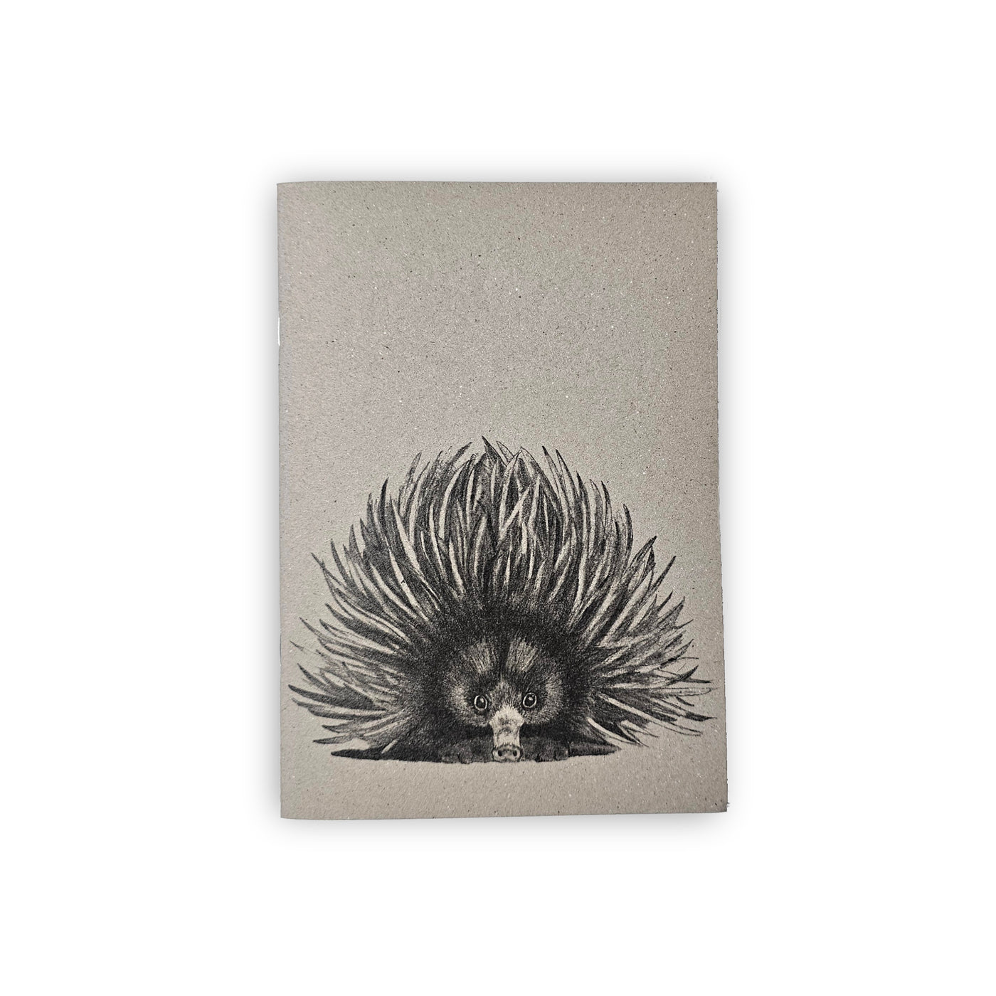 Echidna Note Book - Wholesale Qty 3