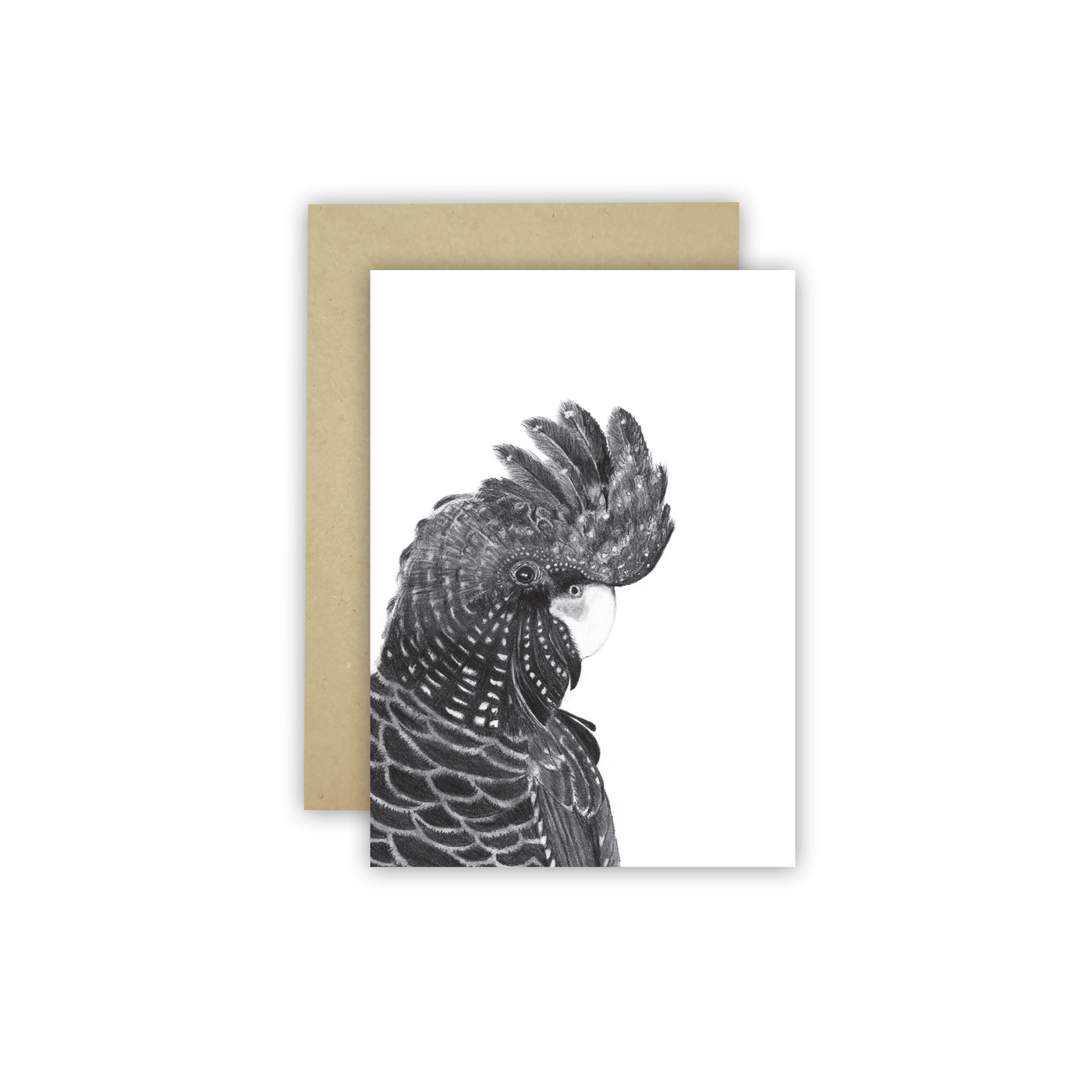 Black Cockatoo C6 Card