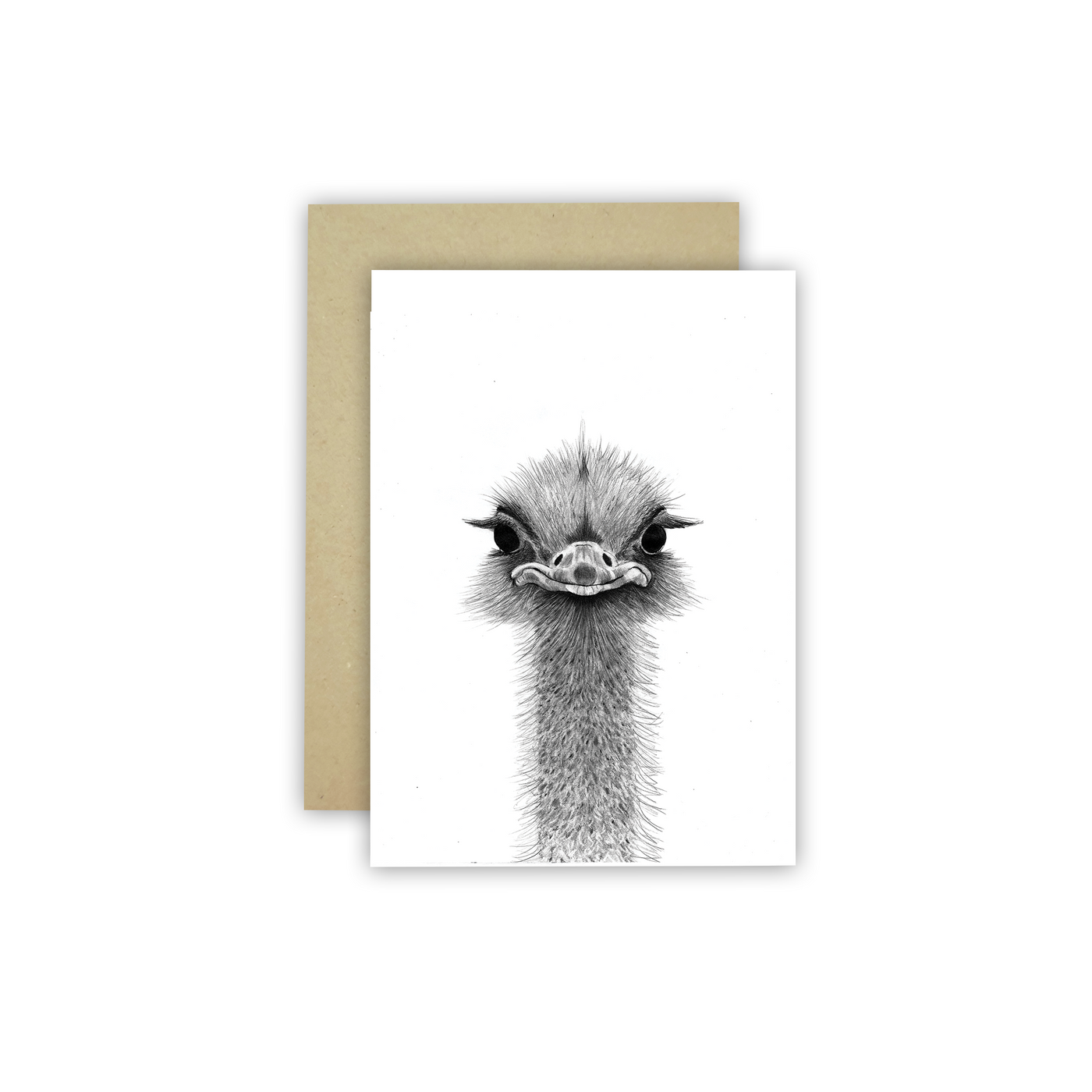 Emu C6 Card