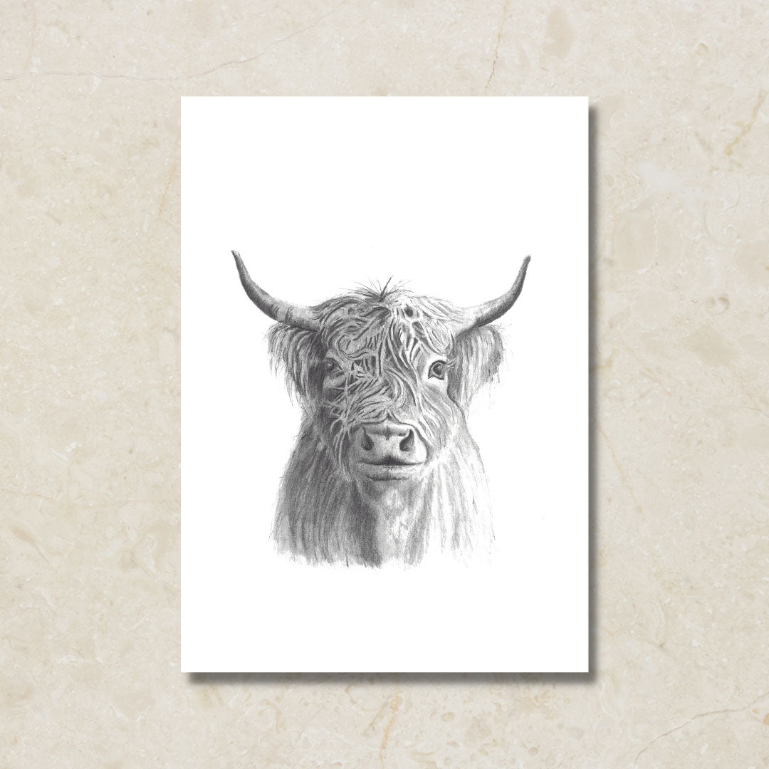 Highland Cow Canvas Art Print- Wholesale