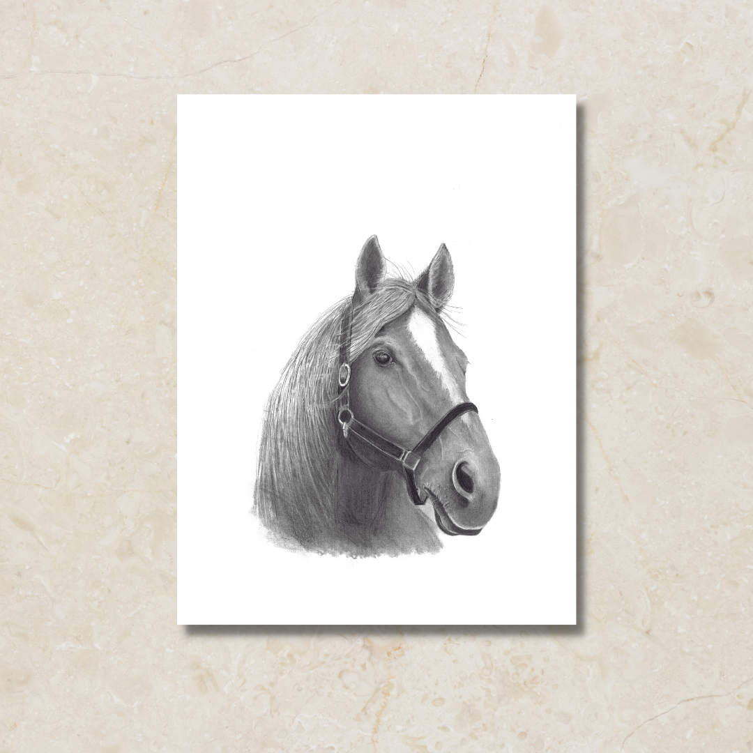 Horse Canvas Art Print- Wholesale