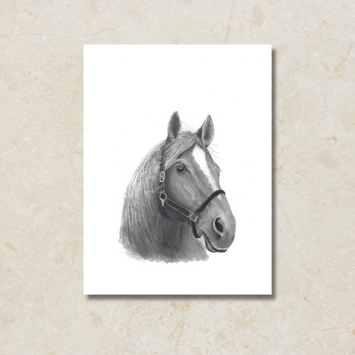 Horse Canvas Art Print- Wholesale