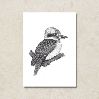 Kookaburra Canvas Art Print