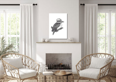 Kookaburra Canvas Art Print- Wholesale