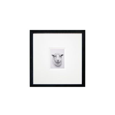 Sheep Print - Wholesale