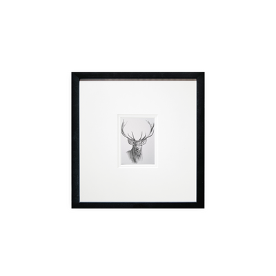 Stag Print