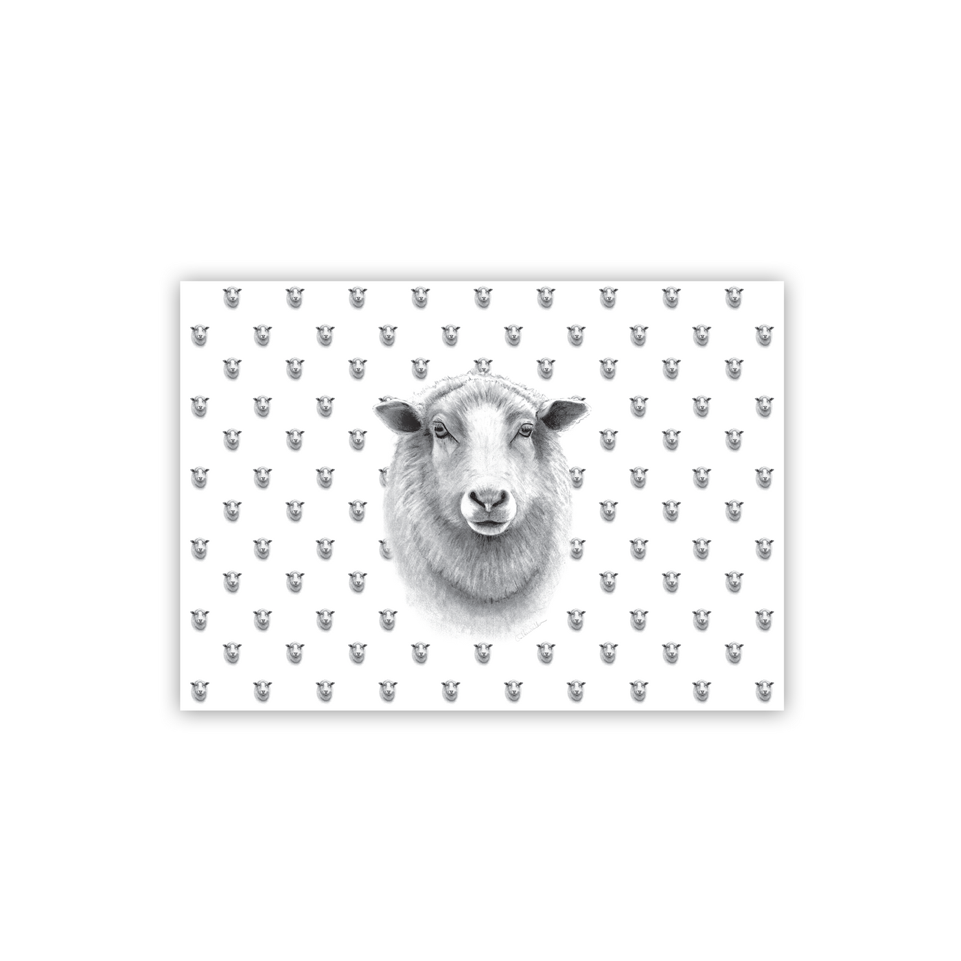 Sheep Placemats - Wholesale