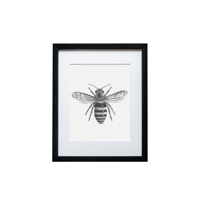 Bee Print - Wholesale