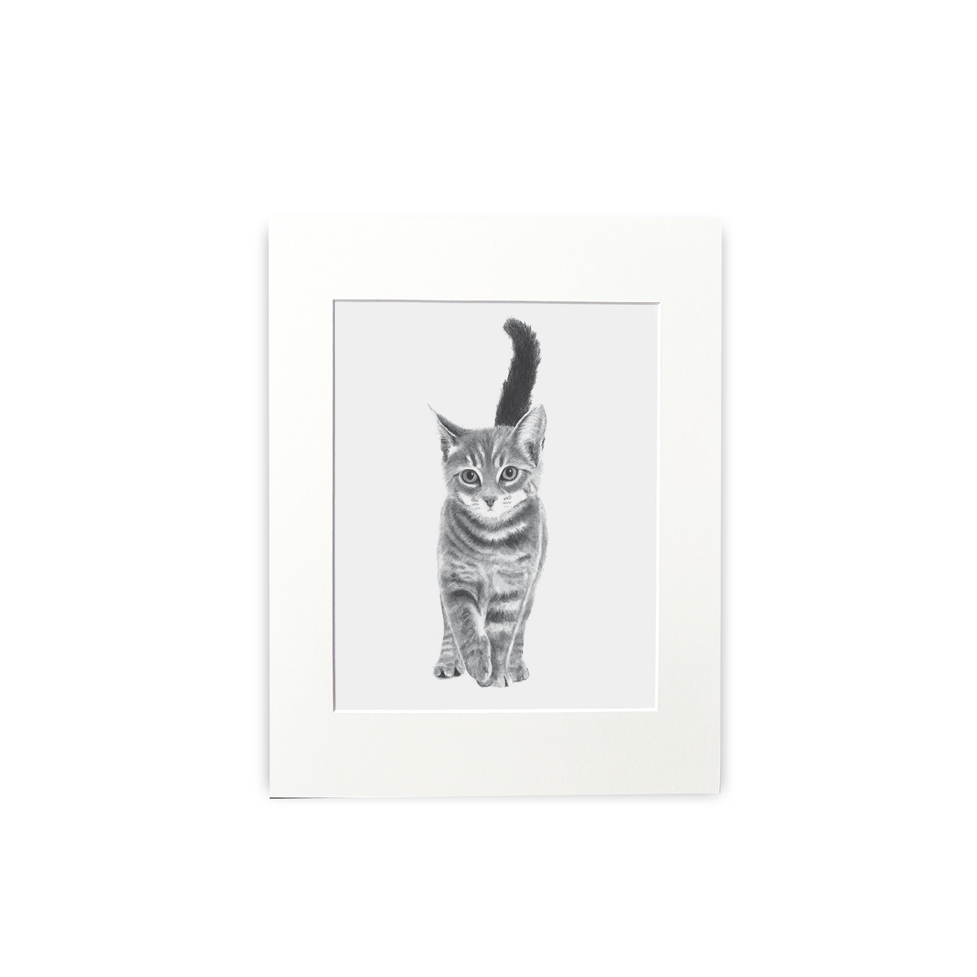 Kitten Print - Wholesale