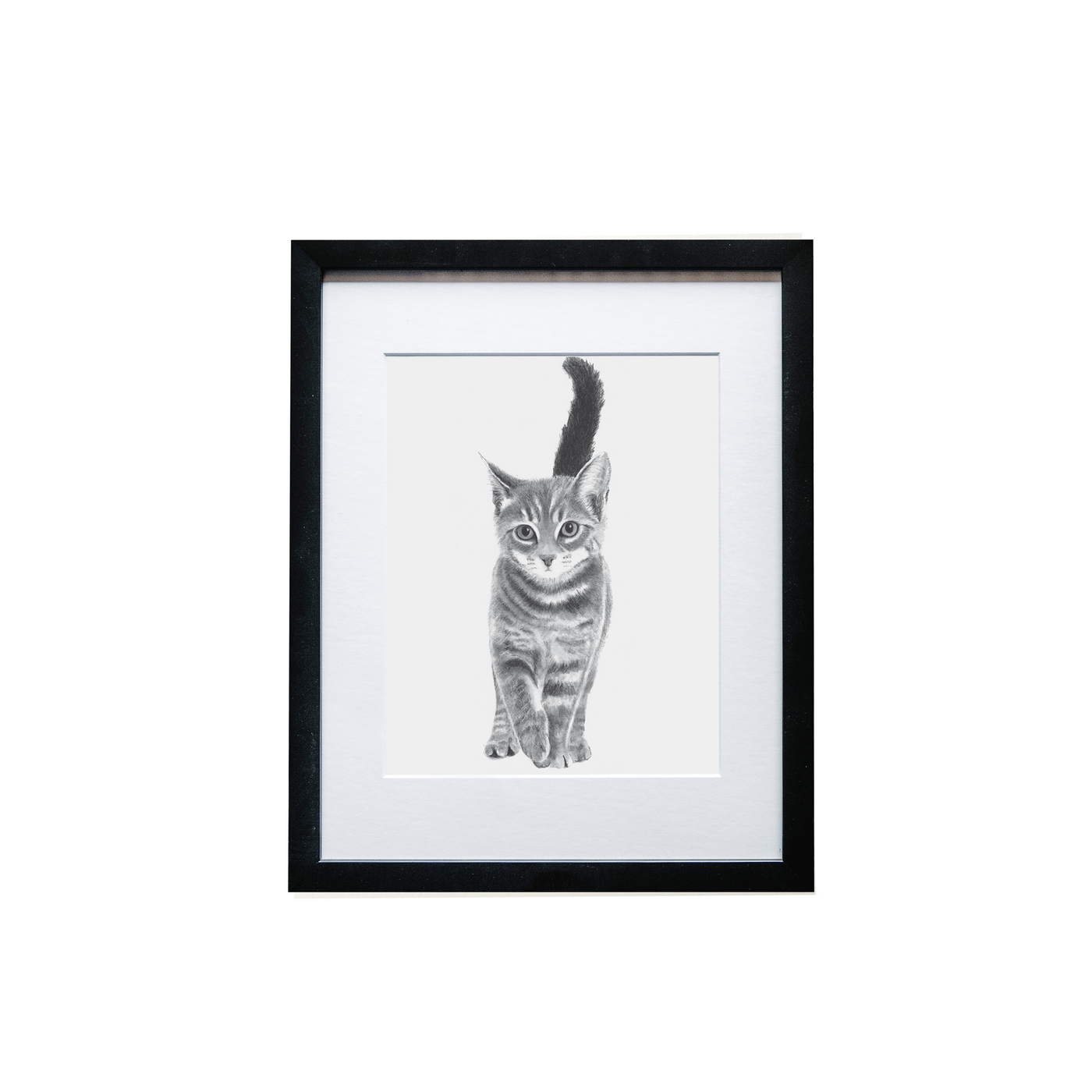 Kitten Print - Wholesale