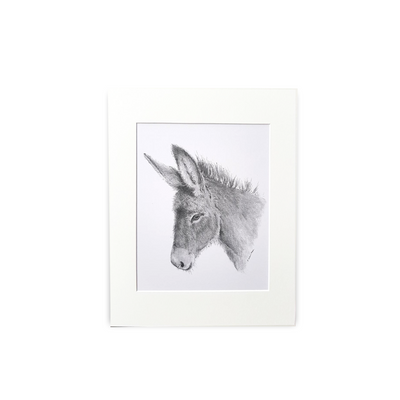 Donkey Print - Wholesale