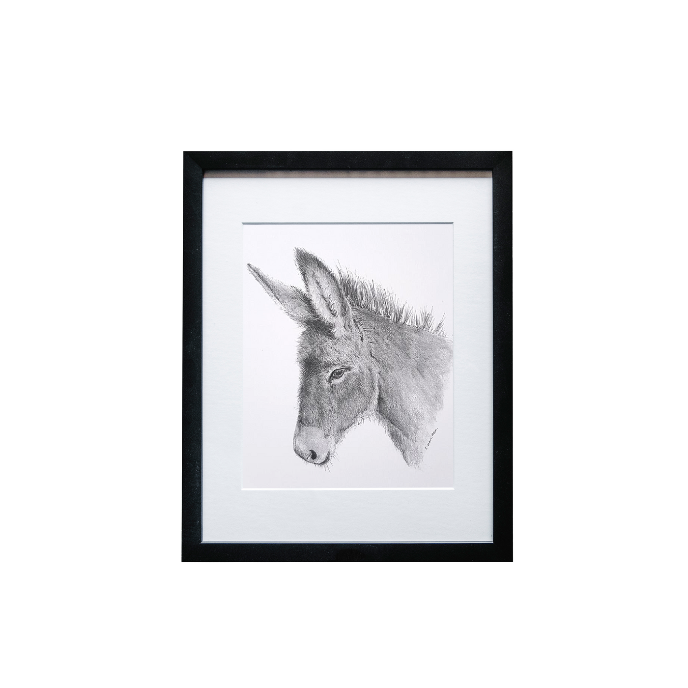 Donkey Print