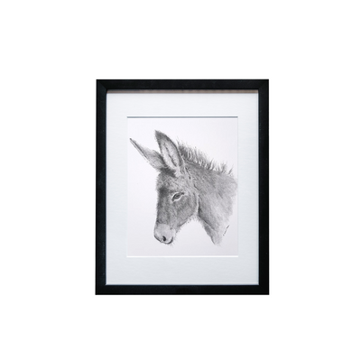 Donkey Print - Wholesale