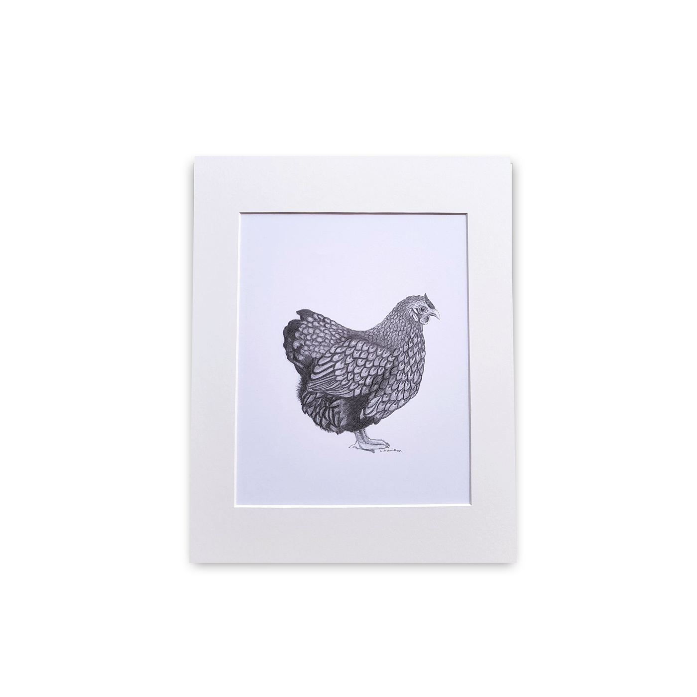 Hen Print - Wholesale