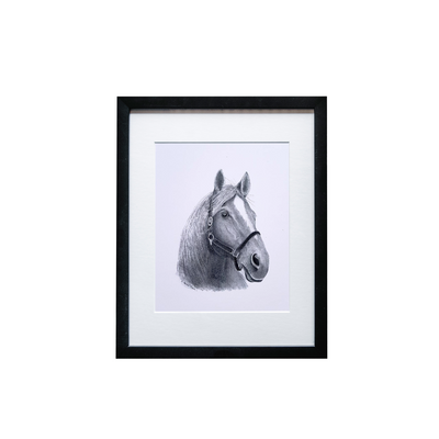 Horse Print - Wholesale