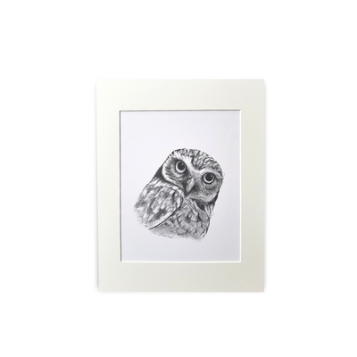 Owl Print - Wholesale