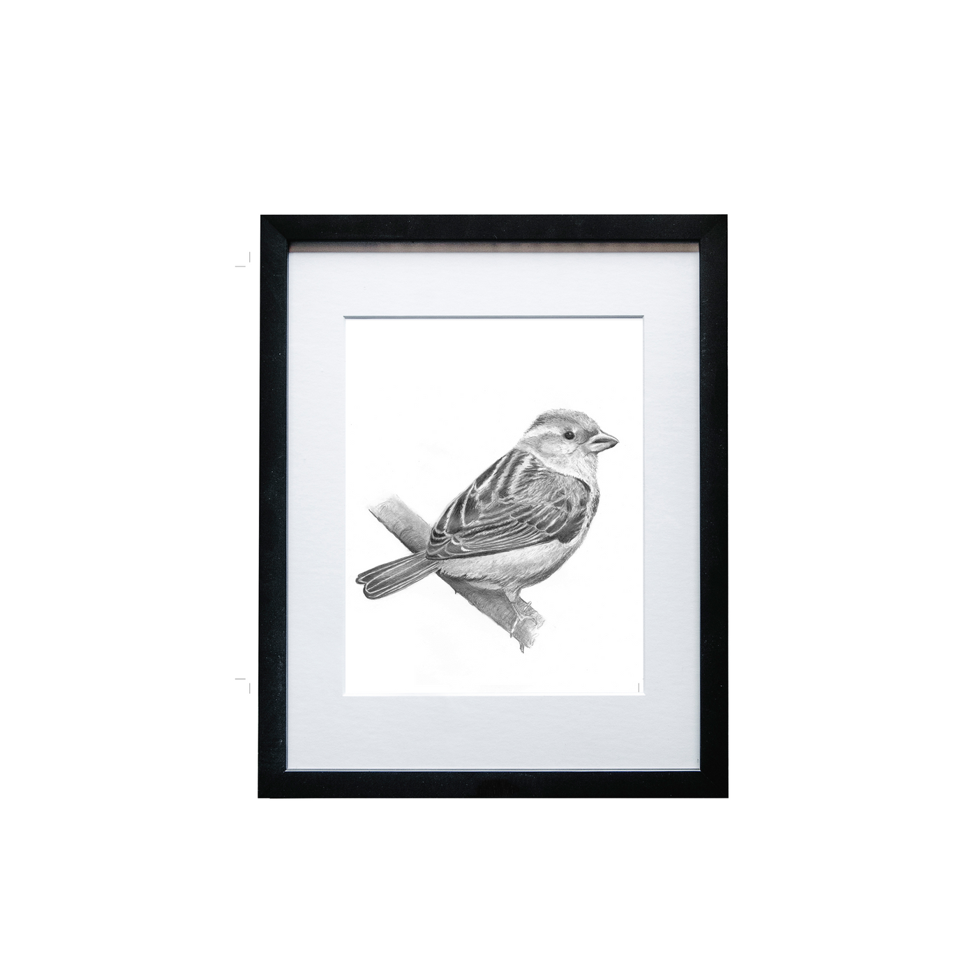 Sparrow Print - Wholesale
