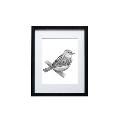 Sparrow Print
