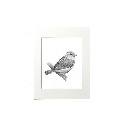 Sparrow Print