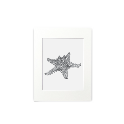 Starfish Print - Wholesale