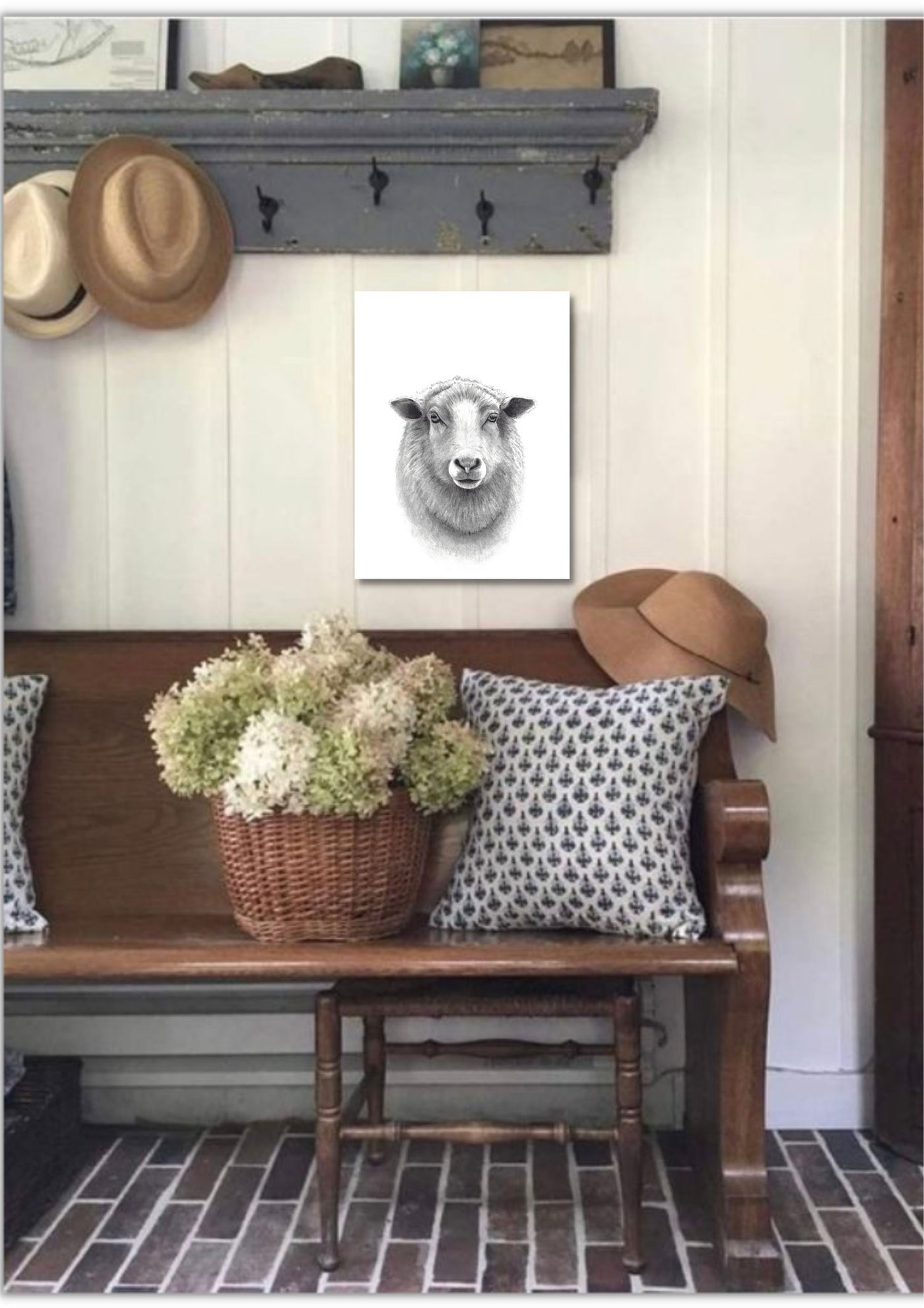Sheep Canvas Art Print- Wholesale