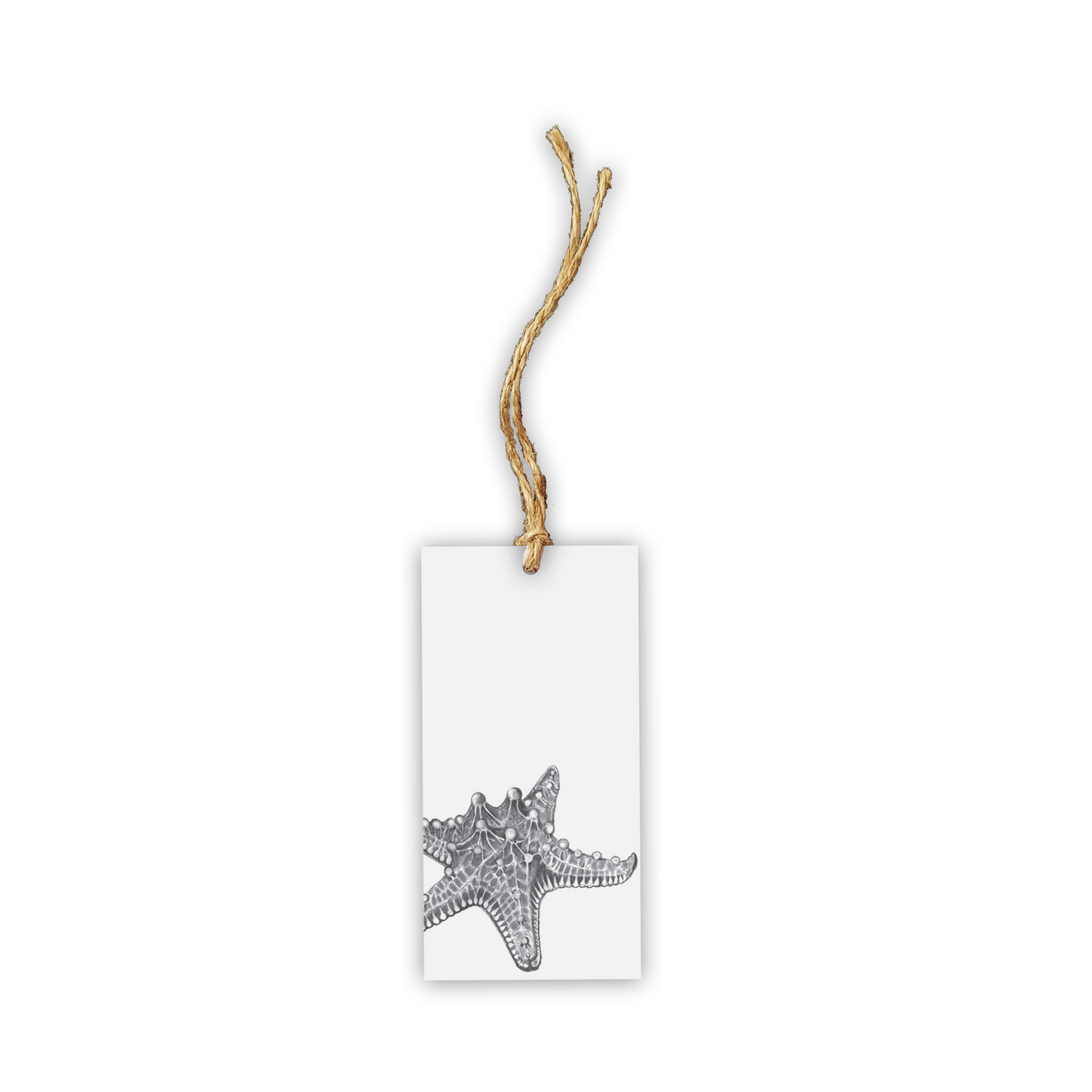 Starfish Tag - Wholesale